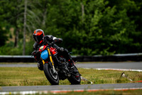DUC_MONSTER