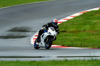 GSXR_WHITE_TRACK