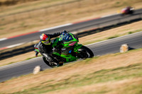KAWI_GREEN_PT