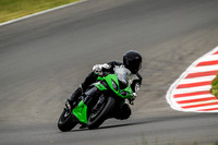 KAWI_GREEN
