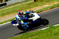 GSXR_WHITE_PLATE