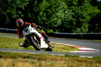 TRIUMPH_PRIMER