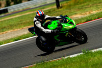 KAWI_GREEN_WHITE_SLEEVES