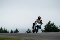 GSXR_WHITE