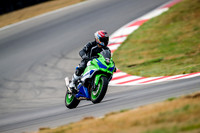 KAWI_GREENBLUE