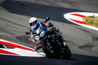TRIUMPH_GREY