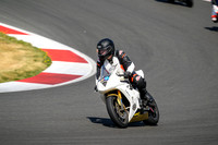 TRIUMPH_GOLD