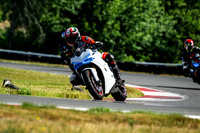 DUC_WHITE