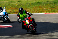 MV_BRUTALE