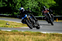 TRIUMPH_BLACK