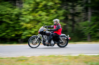 HARLEY_RT