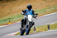 DRZ_BVEST