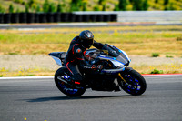 R1M
