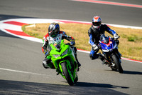 KAWI_GREEN_HEADLIGHTS