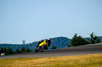 DUC_YELLOW