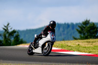 TRIUMPH_PRIMER
