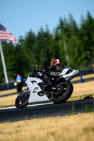 R6_PRIMER