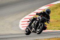 TRIUMPH_TRIP_GREY