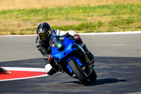 KAWI_BLUE_BLUE
