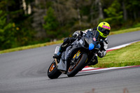 GSXR_P