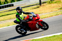 DUC_RED_VEST