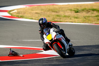 R1_YP
