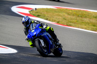 R1_BLUE_YEL