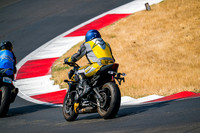TRIUMPH_TRIP_MITHOS
