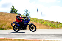 T7
