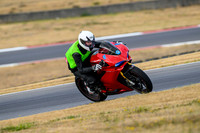 DUC_RED_WHITELID
