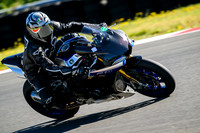 R1M