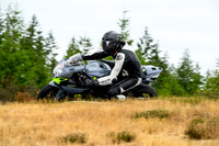GSXR_GREY