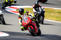 DUC_RED_YELLOW
