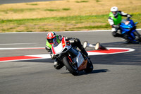 DUC_TRICOLORE