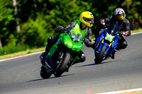 KAWI_GREEN_1K