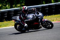 TRIUMPH_TRIP