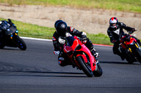 DUC_RED_RED_STRIPE