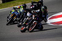 KTM_SCORPION