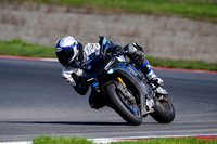 R1_CARBON