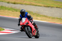 DUC_RED_SCORPION