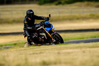 TRIUMPH_VANSON