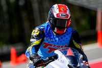 KAWI_GREEN_10