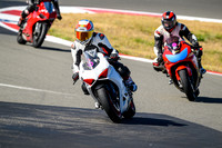 DUC_WHITE_RT