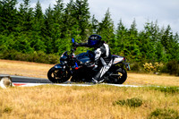 TRIUMPH_SILVER