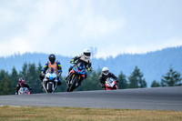 APRILIA_TUONO_WHITE_LID