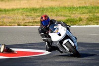 KAWI_WHITE_TRACK