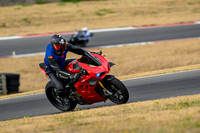 DUC_RED_BLUE