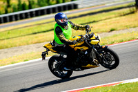 TRIUMPH_TRIP_YEL