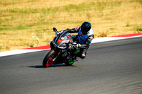 APRILIA_BLK_GREEN
