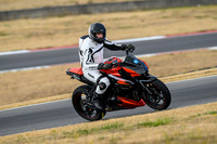 Z1000_LIGHT